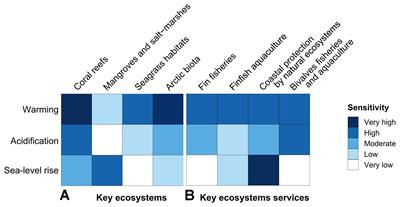 Ocean Solutions to Address Climate Change and Its Effects on Marine Ecosystems